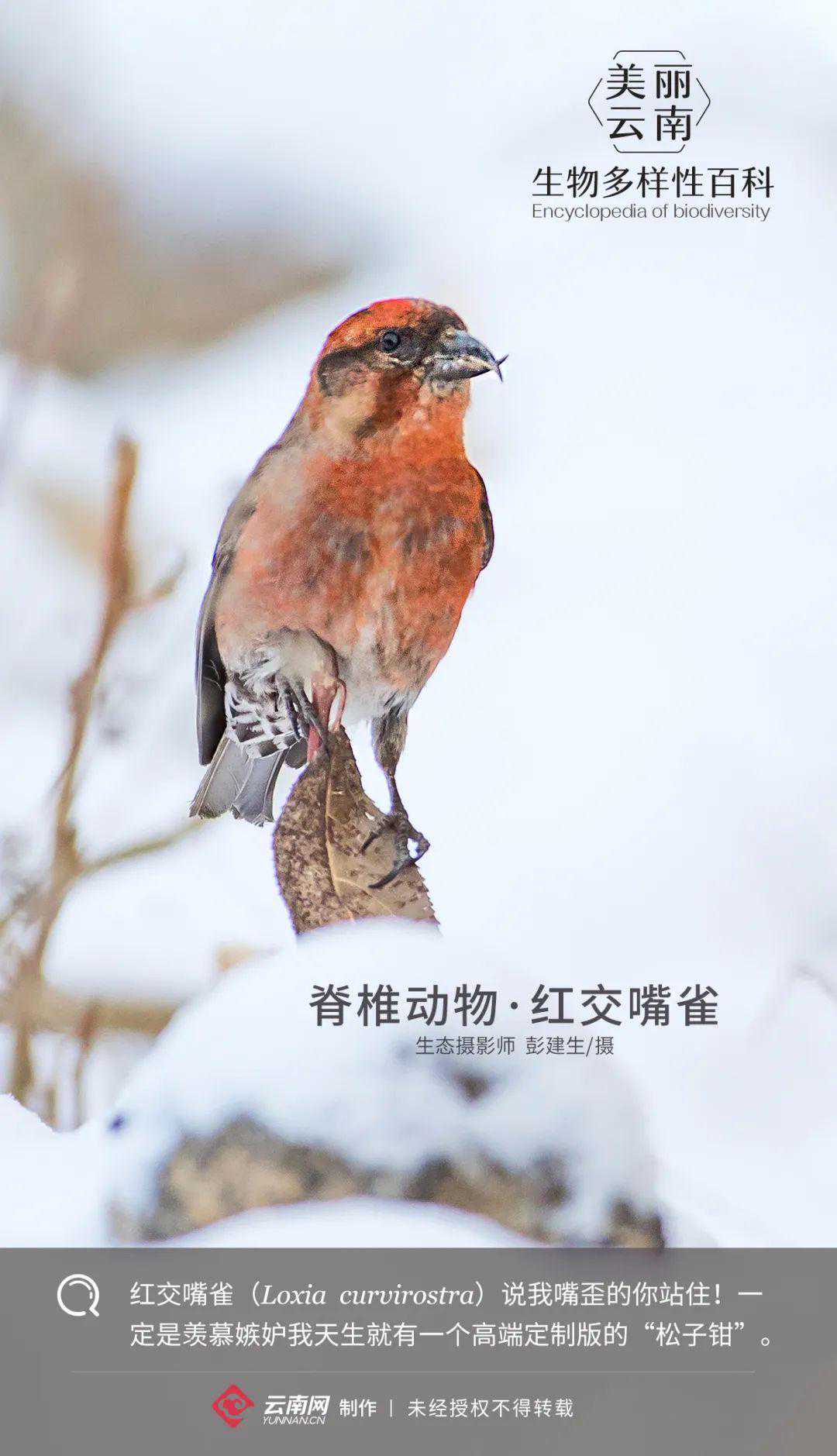 北京四中院：男领导频发“么么哒”等，被曝后竟诉女下属侵权